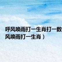 呼风唤雨打一生肖打一数字(呼风唤雨打一生肖)