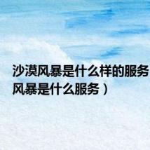 沙漠风暴是什么样的服务(沙漠风暴是什么服务)