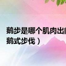 鹅步是哪个肌肉出问题（鹅式步伐）