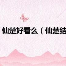 仙楚好看么（仙楚结局）
