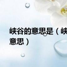 峡谷的意思是（峡谷的意思）