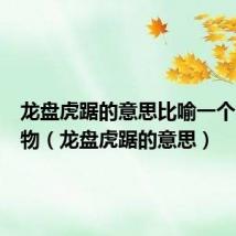 龙盘虎踞的意思比喻一个类型动物(龙盘虎踞的意思)