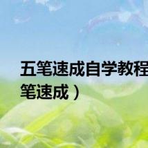 五笔速成自学教程（五笔速成）