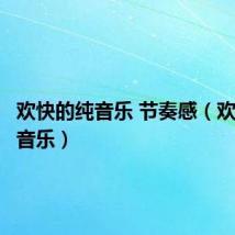 欢快的纯音乐 节奏感(欢快的纯音乐)
