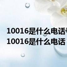 10016是什么电话号码(10016是什么电话)