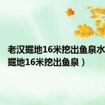 老汉掘地16米挖出鱼泉水(老汉掘地16米挖出鱼泉)