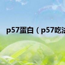 p57蛋白（p57吃法）