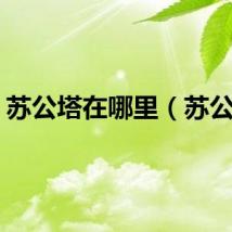 苏公塔在哪里（苏公塔）