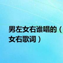 男左女右谁唱的（男左女右歌词）