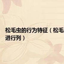 松毛虫的行为特征(松毛虫的行进行列)