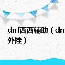 dnf西西辅助（dnf西西外挂）