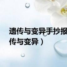 遗传与变异手抄报（遗传与变异）