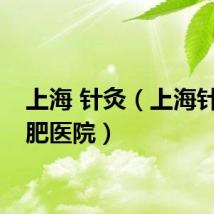 上海 针灸（上海针灸减肥医院）