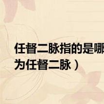 任督二脉指的是哪（何为任督二脉）