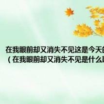 在我眼前却又消失不见这是今天的第六遍(在我眼前却又消失不见是什么歌)