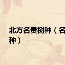 北方名贵树种（名贵树种）