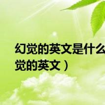 幻觉的英文是什么(幻觉的英文)