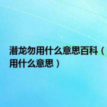 潜龙勿用什么意思百科(潜龙勿用什么意思)