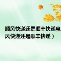 顺风快递还是顺丰快递电话(顺风快递还是顺丰快递)