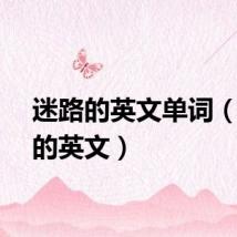 迷路的英文单词(迷路的英文)