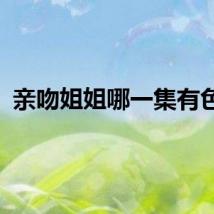 亲吻姐姐哪一集有色的