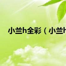 小兰h全彩（小兰h）