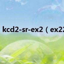 kcd2-sr-ex2(ex223)