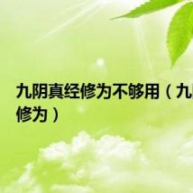 九阴真经修为不够用(九阴真经修为)