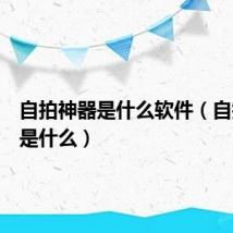 自拍神器是什么软件(自拍神器是什么)