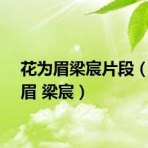花为眉梁宸片段（花为眉 梁宸）