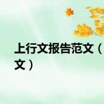 上行文报告范文（上行文）