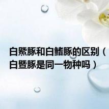 白鱀豚和白鳍豚的区别(白鳍豚白暨豚是同一物种吗)