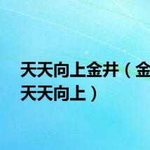 天天向上金井（金俊浩天天向上）