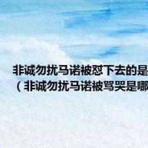 非诚勿扰马诺被怼下去的是哪一期(非诚勿扰马诺被骂哭是哪一期)