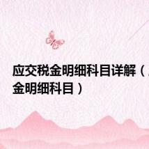 应交税金明细科目详解(应交税金明细科目)
