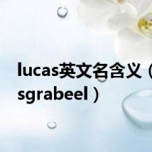 lucas英文名含义（lucasgrabeel）