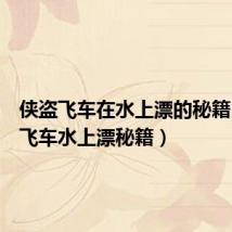 侠盗飞车在水上漂的秘籍(侠盗飞车水上漂秘籍)