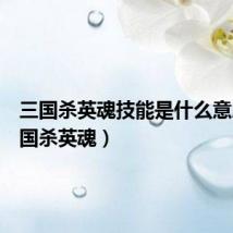 三国杀英魂技能是什么意思(三国杀英魂)