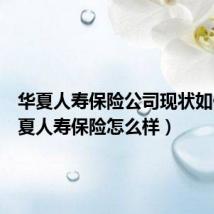 华夏人寿保险公司现状如何(华夏人寿保险怎么样)