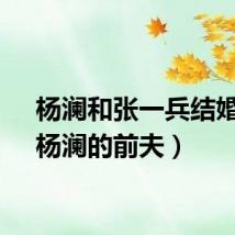 杨澜和张一兵结婚照（杨澜的前夫）