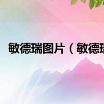 敏德瑞图片（敏德瑞）