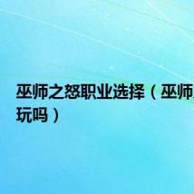 巫师之怒职业选择（巫师之怒好玩吗）