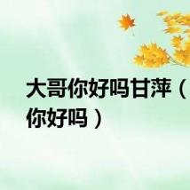 大哥你好吗甘萍（大哥你好吗）