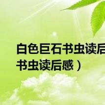 白色巨石书虫读后感(书虫读后感)
