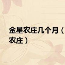 金星农庄几个月（金星农庄）