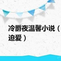 冷爵夜温馨小说（冷爵迫爱）