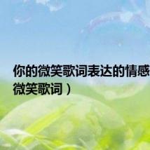 你的微笑歌词表达的情感(你的微笑歌词)