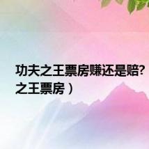 功夫之王票房赚还是赔?(功夫之王票房)