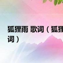 狐狸雨 歌词（狐狸雨歌词）