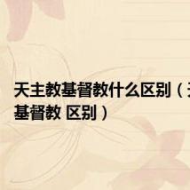 天主教基督教什么区别(天主教 基督教 区别)